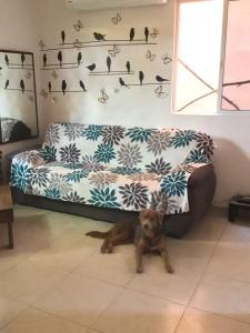 mar y luna apartment