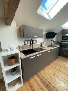 Magnifique appartement rénové en Centre Ville