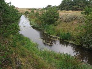 Cozy Beach House in Vejers - By Traum Ferienwohnungen