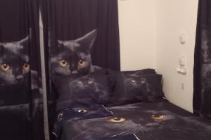 House - Sleeps 6 - Patio - Parking