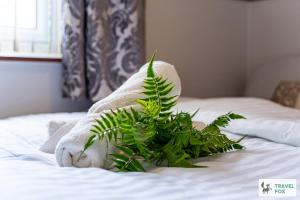 Central Aster House, 3 Bedrooms, Parking