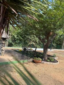 Finca de la Montaña - Cabaña