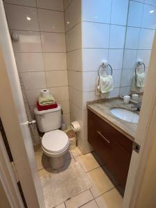 Departamento Santiago centro Catedral #306