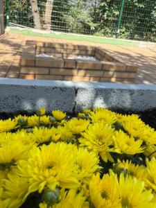 Finca de la Montaña - Cabaña