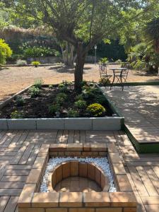 Finca de la Montaña - Cabaña