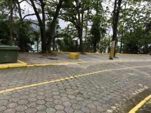 Wembley Beach Apto 705