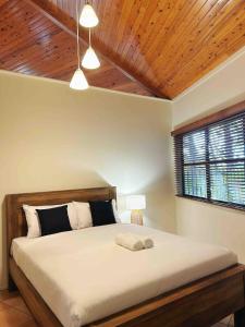 Tropical escape in central location Entire house