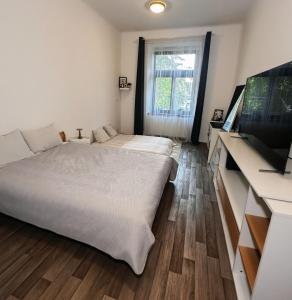 Bright and cozy 40 m apartment at Prague 7