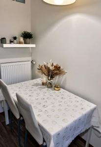 Bright and cozy 40 m apartment at Prague 7