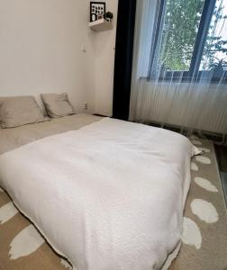 Bright and cozy 40 m apartment at Prague 7