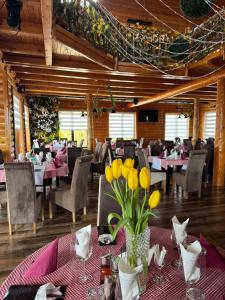 etno brvnara sa bazenom