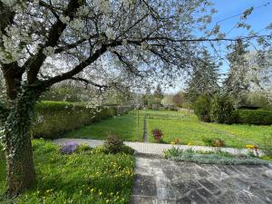 Grüne Oase in Weikersheim