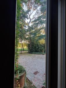 Einzelzimmer mit Parkblick