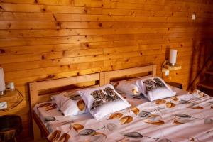 etno brvnara sa bazenom