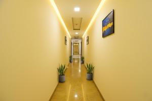 Via Comfort Executive