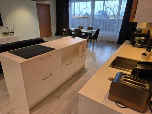 Premium Terrace Apartment Kaunas Žaliakalnis