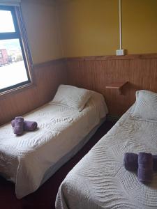 Cabañas Lago Tyndall