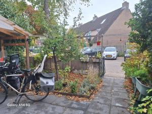 Large family house in Tanthof, Delft