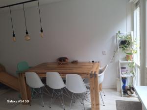 Large family house in Tanthof, Delft