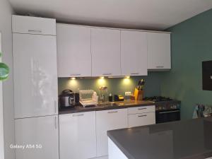 Large family house in Tanthof, Delft