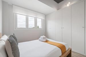 Accessible flat near the Toledo Bridge - 5B