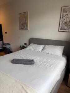 Globe Apartments M16