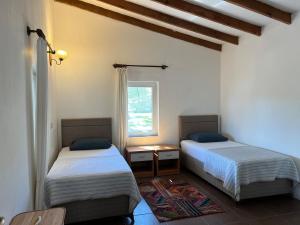 Karaincirevleri Müstakil Taş Ev