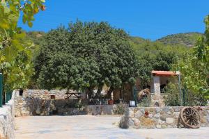 Karaincirevleri Müstakil Taş Ev