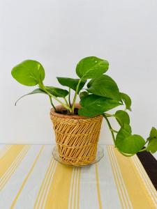 Luxury apartment 5 minutes from the sea