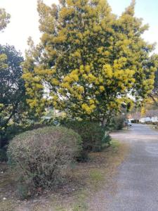 Chez Maya 2 chambres dont suite parentale et 2 salles de bain dans camping 4 étoiles