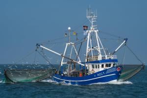 NEU! Ferienwohnung Ebbe