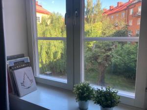 Cosy stylish studio in the heart of Kungsholmen