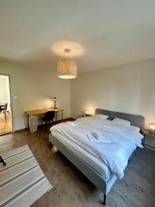 Basic Flat with Balcony in Zurich