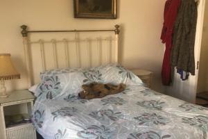 2 Bed House - Sleeps 6 - Garden Pets Parking