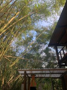 Portal do Sabiá Maresias