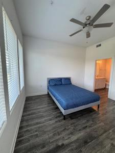 Pleasant apartment in Austin