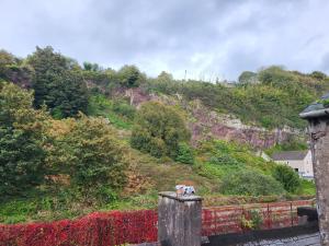 Cosy Cork Studio - cosyincork