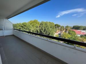 Superb Position Over the River Historical Center Tomar
