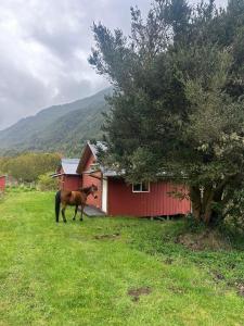 Refugio Siete Robles