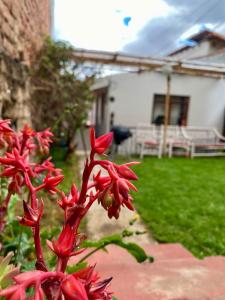 Long Stays San Blas Home with Terrace and Stunning Views