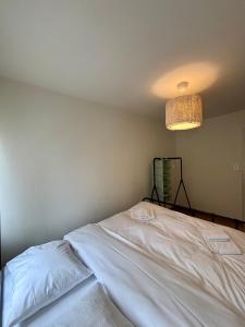 Simple and Cozy Flat in Zurich