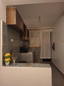 Bens Apartment - Near Ngong Karen