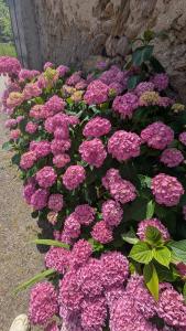 Magnifique Gîte avec vue Montagne au cœur des Pyrenees