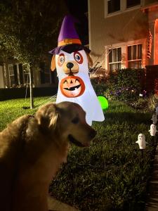 Wharfside Waterfront