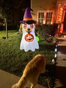 Wharfside Waterfront