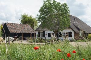 Bed and Breakfast de Bosakker