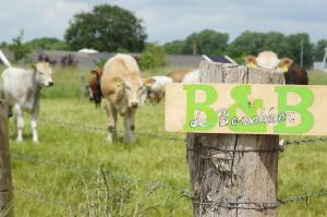 Bed and Breakfast de Bosakker