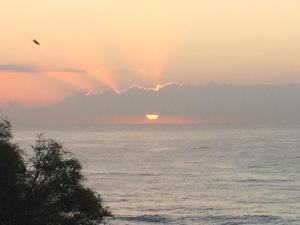Chameleon Beachfront Ibiza Style