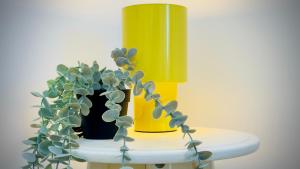 Ivory Residence Accommodation - Modern Comfort and Style