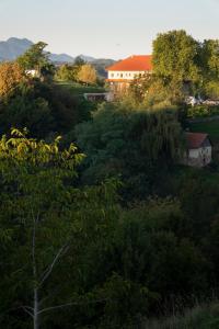Auszeit in den Weinbergen der Untersteiermark 